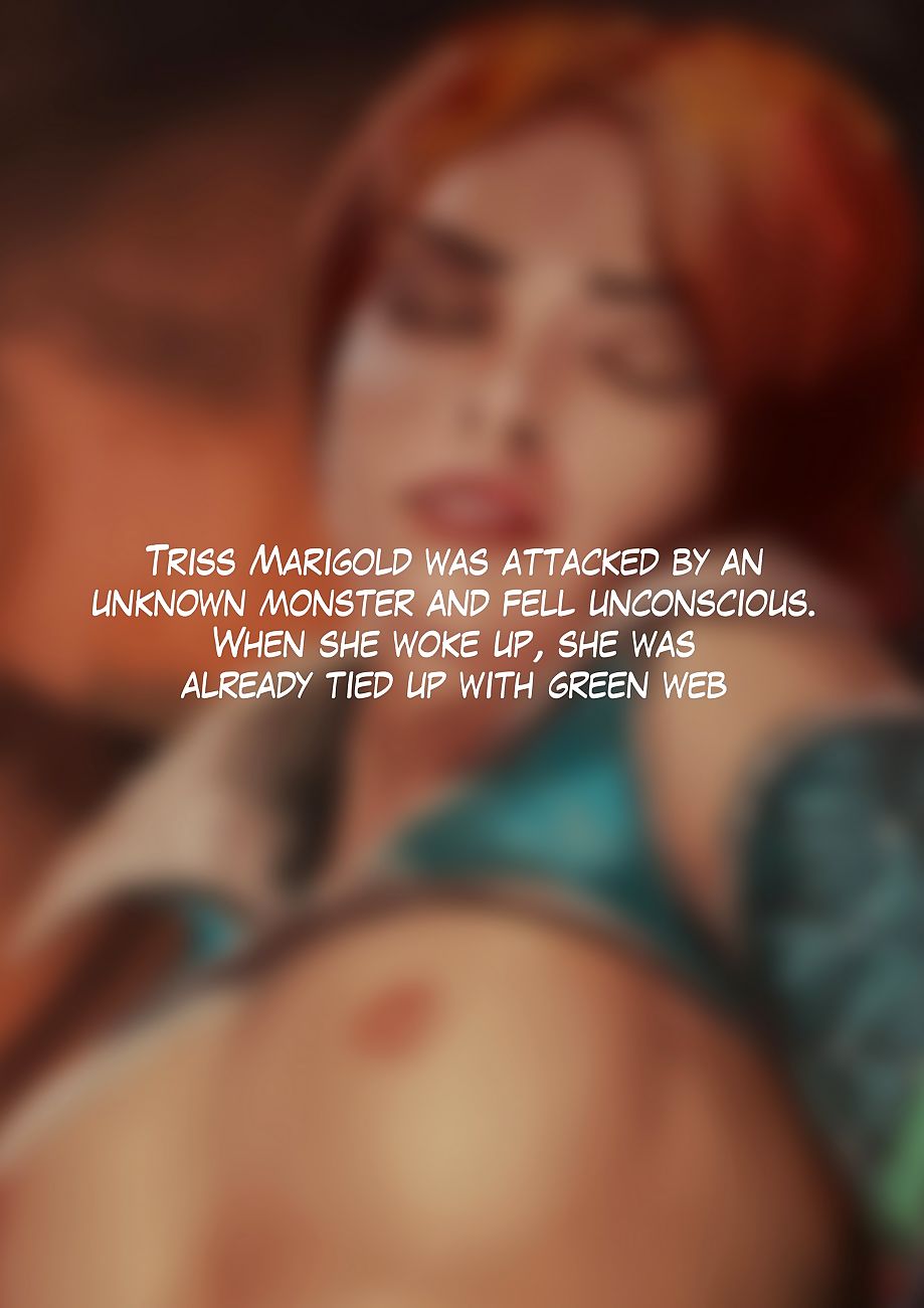 Triss Respecting Pretend to - fidelity 2