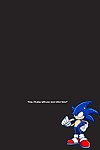 20th Sonic Transmitted to Hedgehog Coerce - faithfulness 5