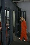 Jailbird shyla stylez with gigantic tits attracted to a hardcore fuck in the