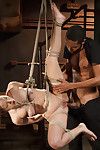 Chained, tied, and ass fucked with a massive cock!