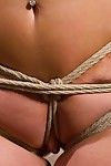 Big apple bottoms mellanie monroe brings her beautiful curves to hogtied for us to tie her