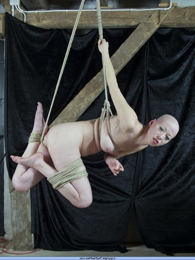 Suspension subjugation and breast fastened hanging of japanese infatuation illustration kumimonster