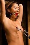 Fresh years old Chinese novice is punished and drilled in servitude