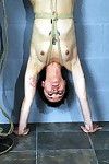 Japanese meis suspension submission