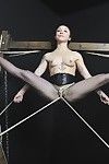 japonés la obediencia y suspensión de Tatuado japonés Sumisa Belleza Mei Mara
