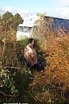 Boobsy tigerrs Japanisch öffentliche Nacktheit und outdoor masturbation der Ost porno Star