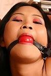 Marvelous oriental teen is hogtied with ropes then egg gagged