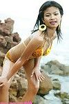 Fresco Año viejo tailandés juvenil en tigre Bikini en el playa parpadea todos su Atractivo partes