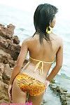 الطازجة العام القديمة التايلاندية الشباب في النمر بيكيني في على الشاطئ ومضات كل لها جذابة أجزاء