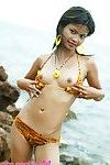 Fresco Año viejo tailandés juvenil en tigre Bikini en el playa parpadea todos su Atractivo partes