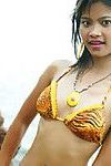 Frisch Jahr alt Thai jugendlich in Tiger bikini bei die Strand blinkt alle Ihr Ansprechend Teile