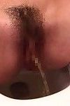 Unshaved Chinese ready ruri saijo penetrated in the wc