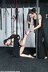 Pretty japanese bottom is fastened with ropes by her taskmaster and the