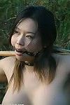 Outdoor Japanese submission and without clothes public japanese infatuation of tige