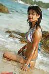 Magnificent thai youthful example in bikini on the beach