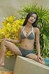 Thai cultivé jusqu' modèle tailynn posant sensuellement :Par: l' piscine