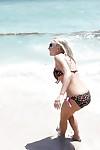 सुनहरे बालों वाली समुद्र तट बेब ब्रिटनी ब्रूक्स प्रस्तुत पूरी तरह से कपड़े के साथ में डेनिम जीन्स