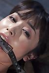 Asian cutie Marica Hase covered in painful clothespin pegging and hot wax