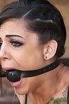 Tattoeed bonnie rotten squirts and growls during dug and punished during rough
