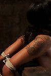 Skin diamond tit buttons and elbows bound is made to cum