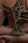 Madison scott with huge dd breast in rope bondage