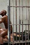 Prison group sex fotos