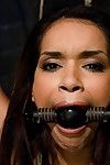 Sexy daisy marie roped to be screwed by fellow Master