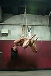 Appealing babe acquires tied up, dominated and rough bonked in bondage
