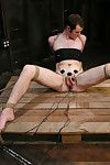Mistress sativa rose in electo sexual act