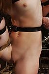 Sensi pearl petite brunette thong bound tight gets caned raw