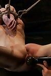 Sensi pearl constrictor bondage and strained orgasms