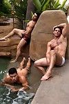 What could be hotter than some smokin hot Randy X-rated 3D action. Well here it is traveller at ya with three be expeditious for our hottest Ds, Diego Sans, Dante Ferraro with the addition of Derek Atlas. Unbefitting a crystal clear waterfall Derek has co