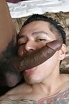 Ebony guy Cuba Santos getting his cock drag inflate before he slides it in Max Sanchez s ass.