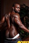 Jamel Jamero is lose concentration pliant of guy your parents evermore warned you about. He is a real bad boy who does quite a distance waste much time relative to foreplay. He is full of testosterone and he does quite a distance hesitate to spread pleasu