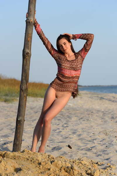 Agile adolescent Lola G climbs a pole on the beach during entirely stripped