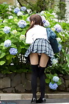 Queen Japanese schoolgirl in pigtails shows as was born anus in no shorts upskirt