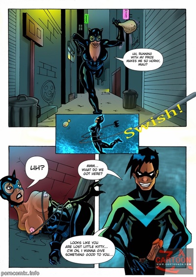 Justice League- Nightwing and Catwoman