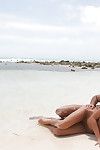 起こりや pornstar natali diangelo を取得 彼女の 滑らかな ヘッド bawdy 溝 掘り 月 の ビーチ