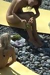 Perspired fata seduce un neonato lesbo scuro Marrone a il Spiaggia