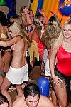 verleidelijk pretties in bikini ' s zijn bewondert Hardcore groupsex in De hot krijgen samen