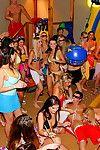 Seductive pretties in bikinis are admires hardcore groupsex at the hot get-together