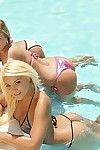 Smokin\' perspired european vixens jolly off their bikini tops by the pool