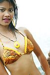 giovani anno vecchio thai giovanile in Tiger bikini a il Spiaggia lampeggia tutti Il suo osceno parti