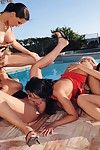 Pornstars put on raw schlongs by the pool