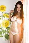 nonami takizawa Ásia com generoso Peitos é sexy ar hostess