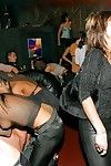 Hot drunk girls love sucking off lots of different cocks