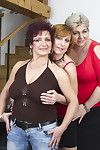 drei naughty Hausfrauen Erhalten aus ein Glück chap
