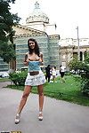 Foxy dark brown darling in miniskirt flashing her tits in public place
