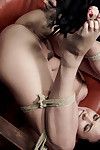 Danica is flogged and then made to cum for the first of many times. next she is