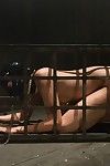 Model purchases tied up and anal drilled by kinky couple